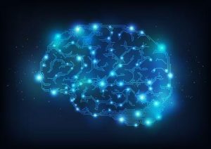 brainprint