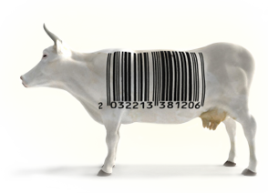 rastreabilidade-alimentos