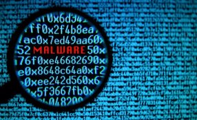 maioria internautas nao sabem detetar perigos online
